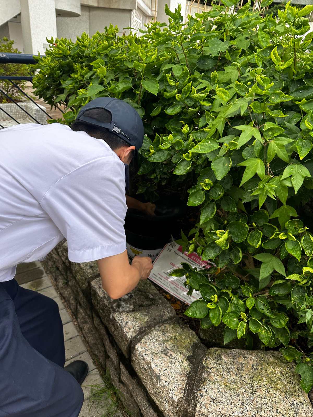 食環署公布九月份第四批蚊患指數