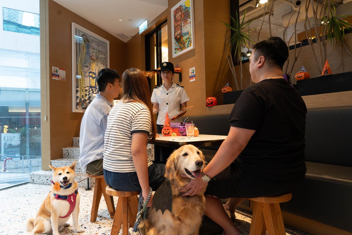 食環署萬聖節前夕提醒攜狗用膳須守法