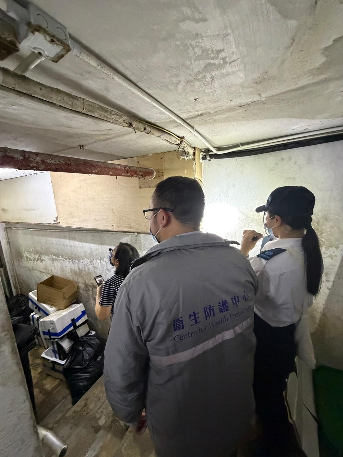 91歲翁感染大鼠戊型肝炎 食肆鼠跡被檢控