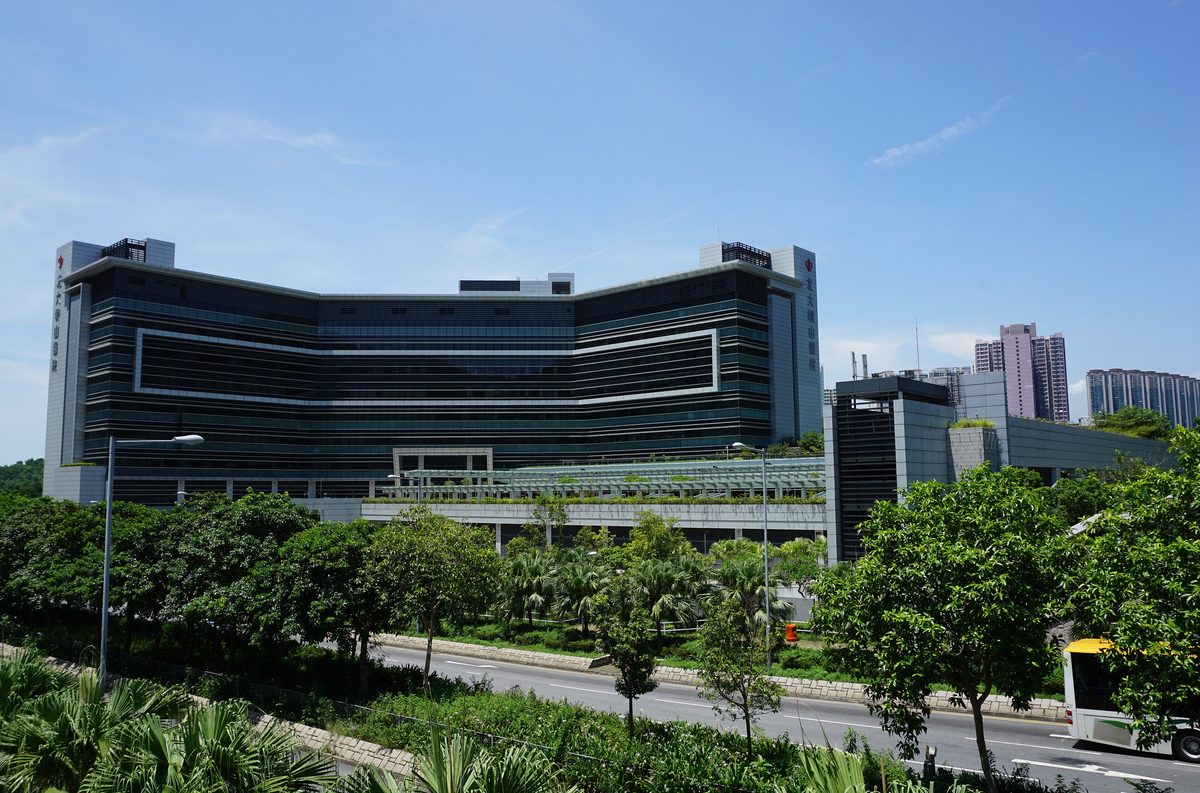 銀礦灣泳灘枯萎古樹名木將被移除
